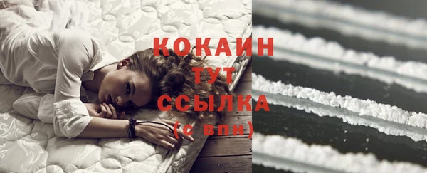 ГАЛЛЮЦИНОГЕННЫЕ ГРИБЫ Аркадак