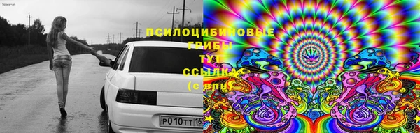 твердый Арсеньев