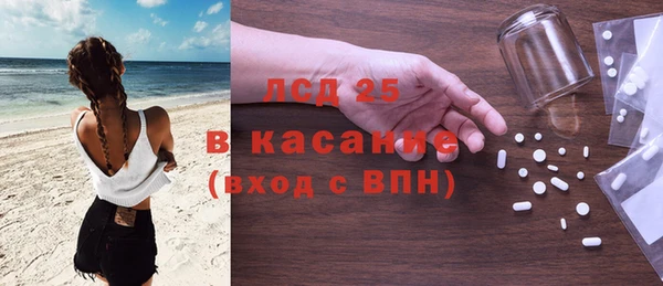 ГАЛЛЮЦИНОГЕННЫЕ ГРИБЫ Аркадак