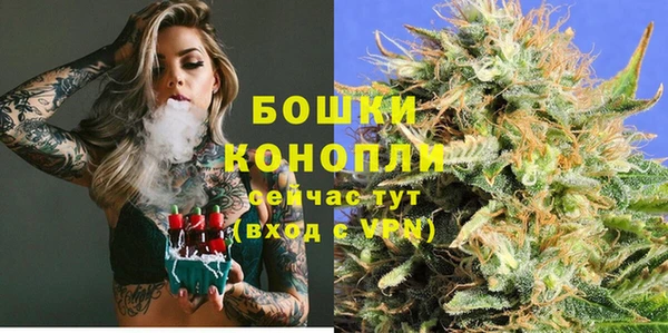 твердый Арсеньев